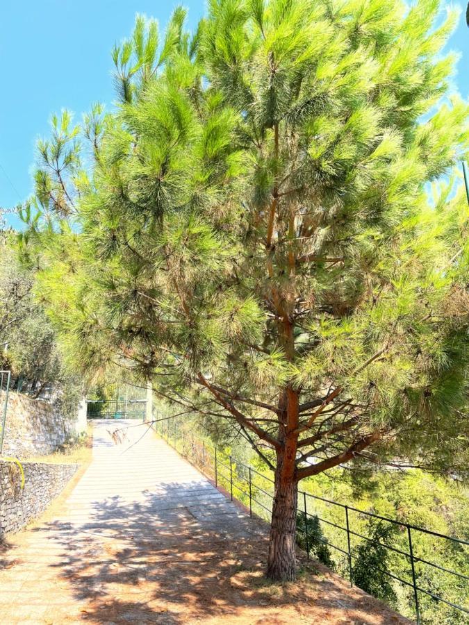 La Riviera Bed & Breakfast * Rapallo