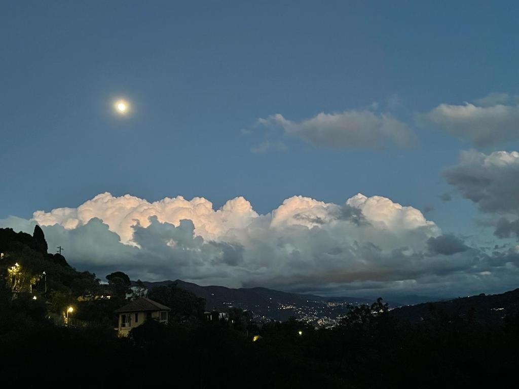 Bed & Breakfast La Riviera Bed & Breakfast Rapallo