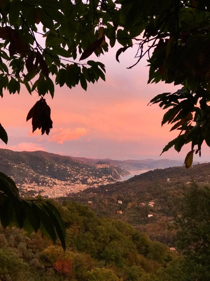 La Riviera Bed & Breakfast Rapallo