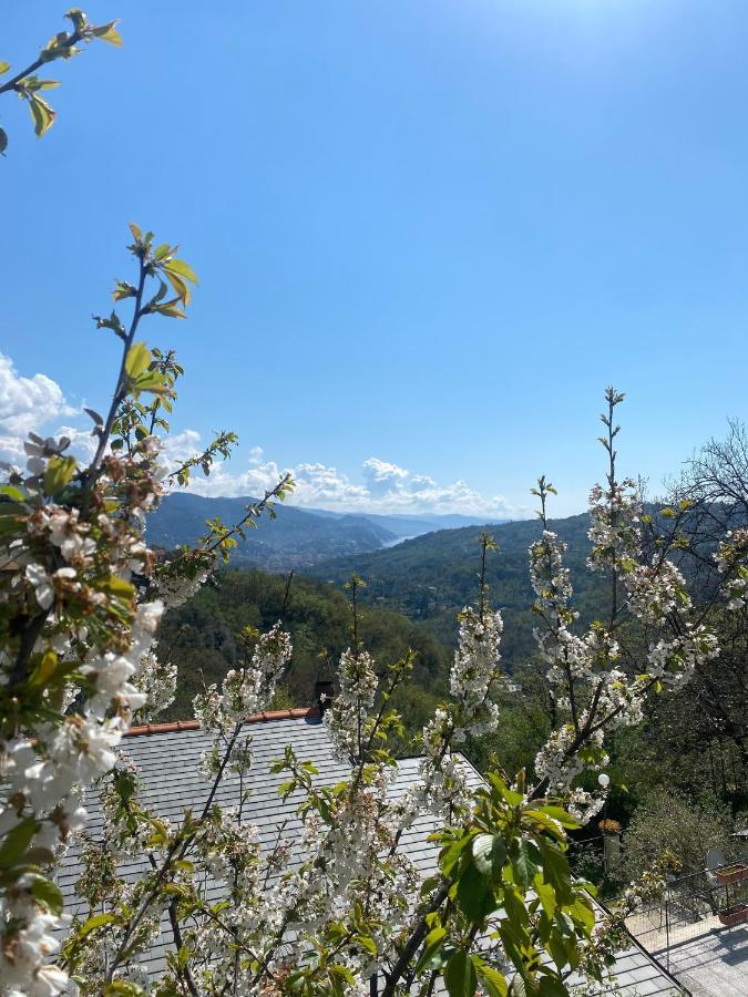 Bed & Breakfast La Riviera Bed & Breakfast *